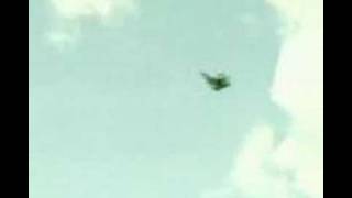 Flying Lawnmower-The Skycutter 4