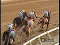 ２００７年度福山競馬アラ系Ａ２競走「アメジスト特別」