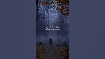 القارئ عبدالله احمد شعبان #quran