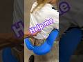 Was this helpful? @Xo_rybaby #couple #funny #marriage #couplecomedy #comedy #comedyshorts