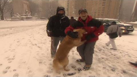 CNN: A storm of TV bloopers