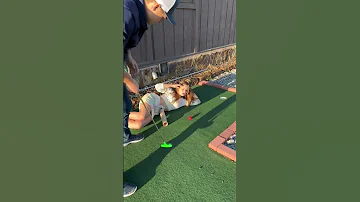 When You Re Built Different Couple Funny Trend Golf Shorts 
