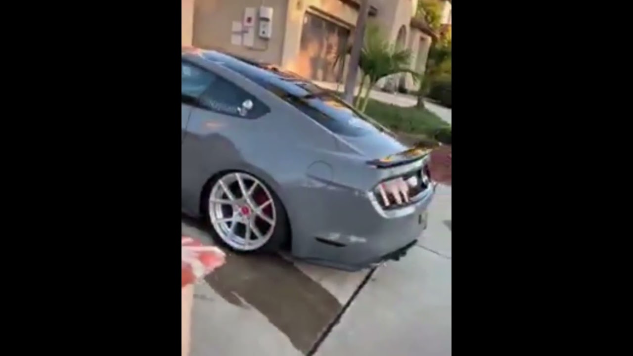 S550 Mustang looking good 💯😎 