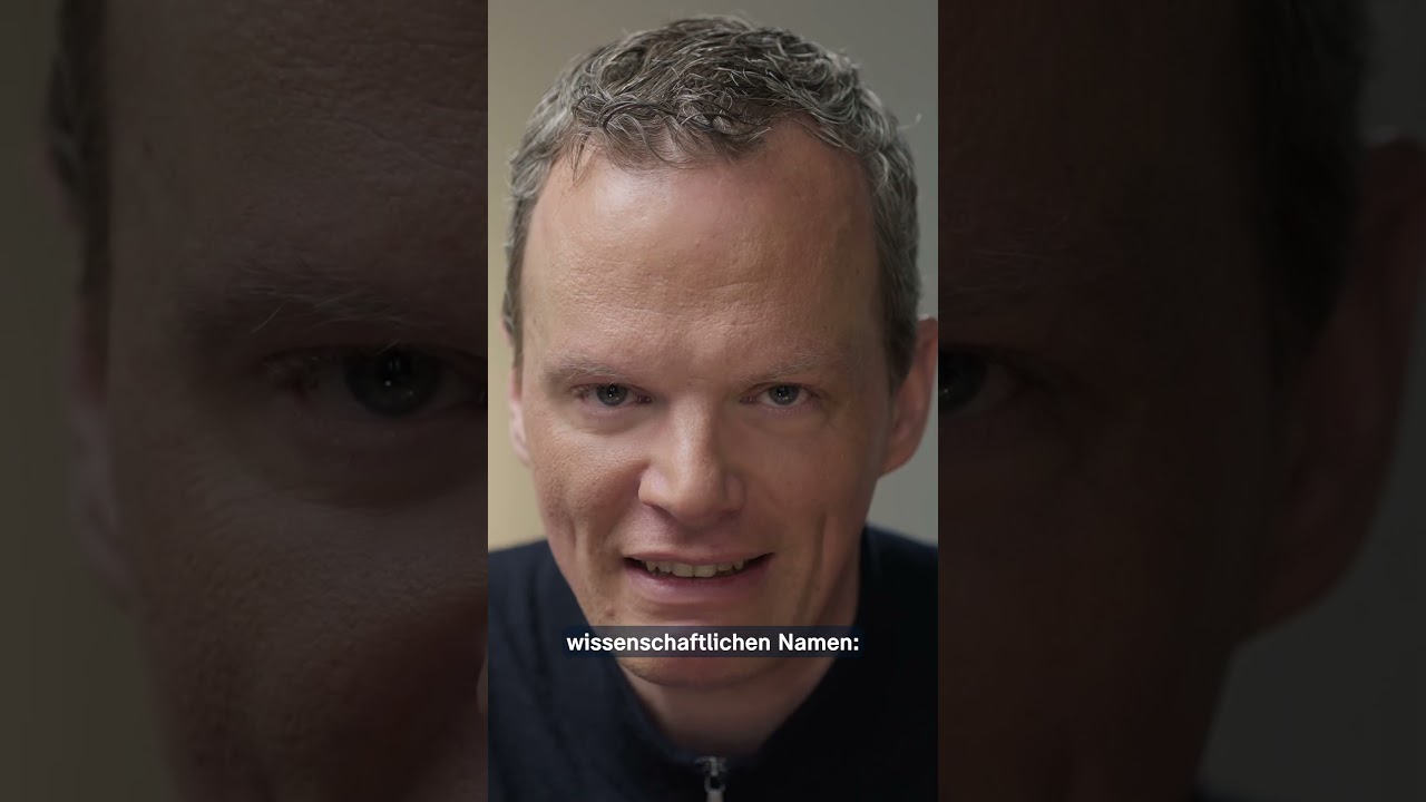 Lipstick-Effekt: Der kleine Luxus in der Krise | 