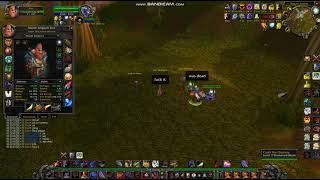 Tirisgarde warrior AP in nutshell