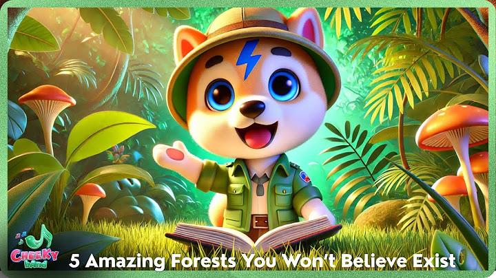 Discover 5 AMAZING FORESTS You Won’t Believe Exist with MICHI | MICHI TRAVEL TALK