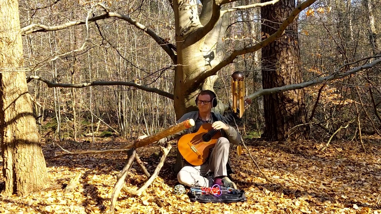 Original Song for Classical Guitar & Loop Session | Forest Session