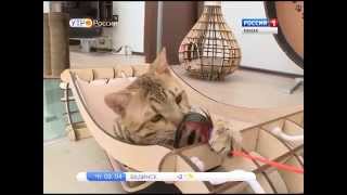 В Пензе со своим театром кошек выступит Юрий Куклачев В Пензе со своим театром кошек выступит Юрий Куклачев