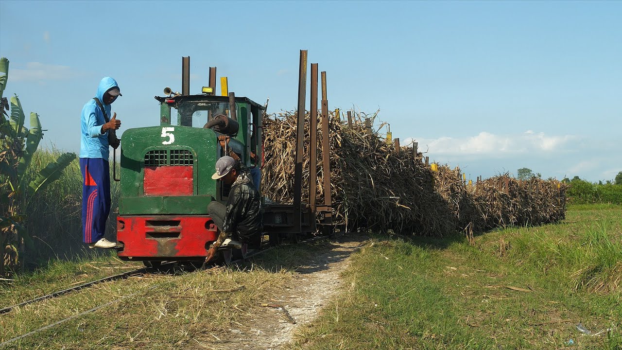 PG. Semboro (Jember Indonesia)  2025年7月21-22日