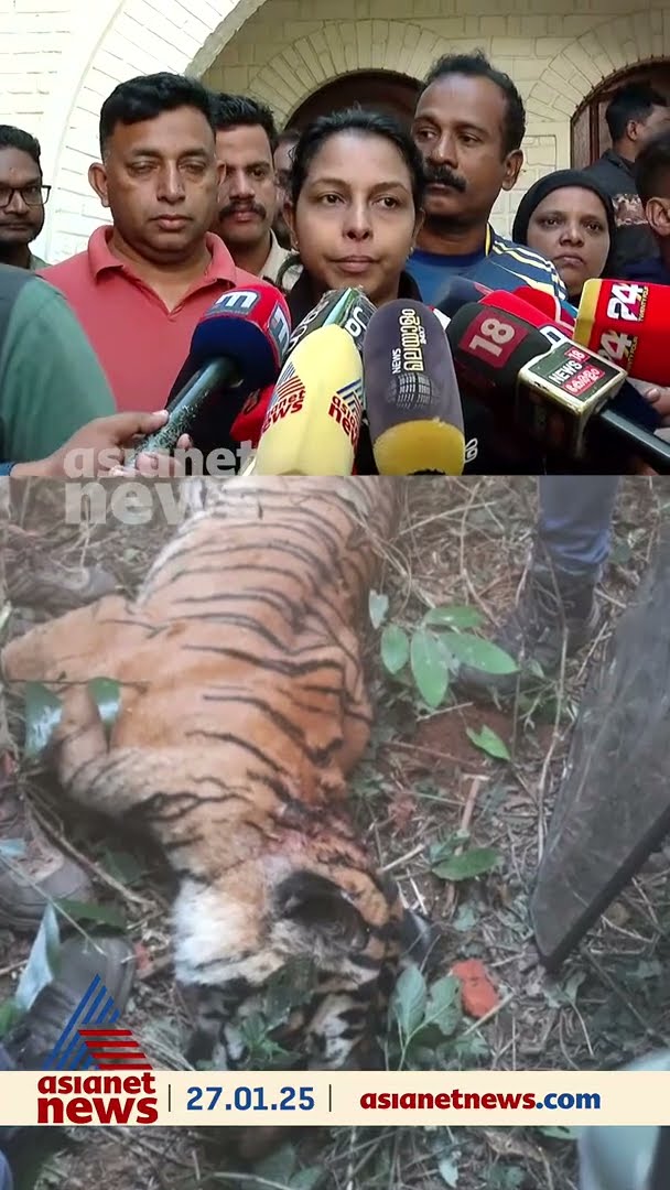 'കടുവയുടെ ശരീരത്തില്‍ മുറിവേറ്റ പാടുകള്‍, പോസ്റ്റുമോര്‍ട്ടം നടത്തിയാലെ കൂടുതല്‍ അറിയാന്‍ കഴിയൂ'