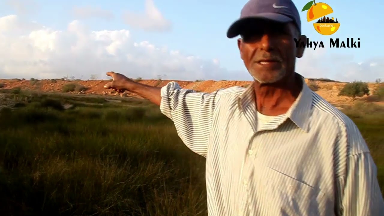 ضاية او مرجة دوار بيرو  جفت عن  اخرها بمنطقة شراعة اقليم بركان