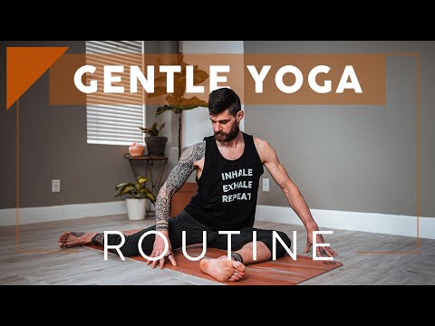 Incredible Full Body Yoga Practice for Athletes and Beginners