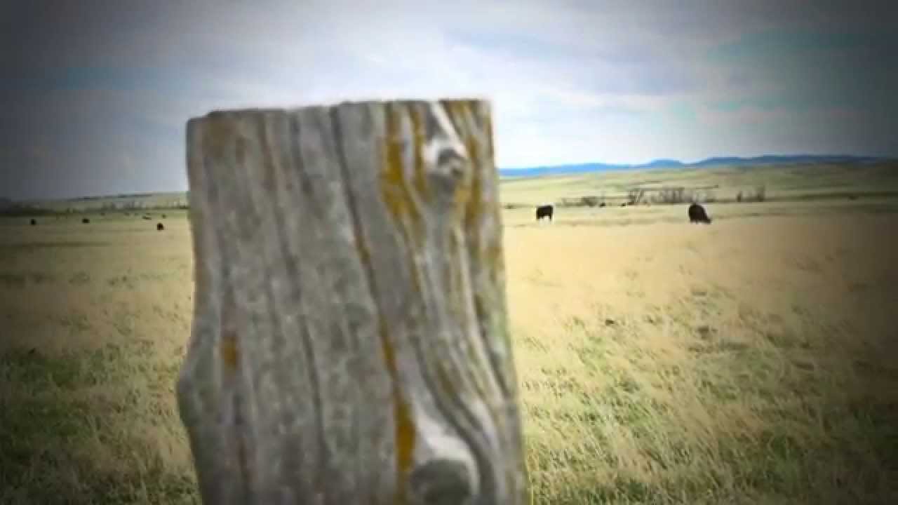 South Dakota Beef Council "Life" YouTube