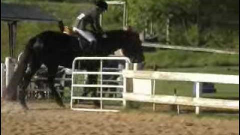Micah -equitation ***For up-to-date info, price, etc., go to our website***