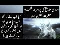 The Story Of Prophet Al Khidr (AS) | Urdu / Hindi