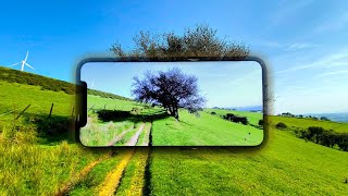 iPhone 11 Pro - Ultimate Video Test!