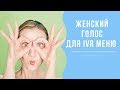 Голосовое меню IVR