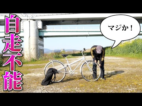 多数お問い合わせ有難う御座いました【中古自転車多数あり】４０００円〜普通に乗れます。 I won a used, junk bike on Yahoo! Auctions, so I went to Kyoto to