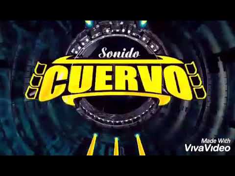 Movida Cusinela Version2021 Movida Cusinela Version2021