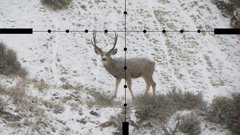 Long Range 101 Part 20 - Effective Reticles and Objective Lens Sizes