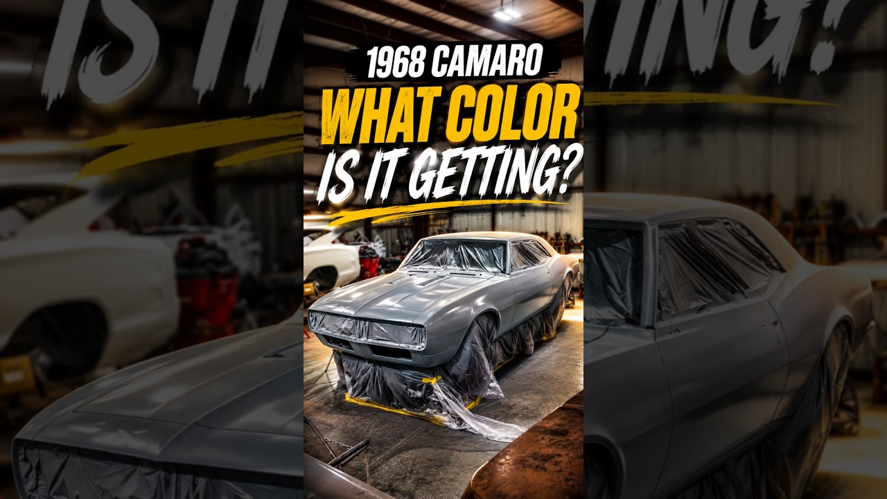 What Color?? 👀