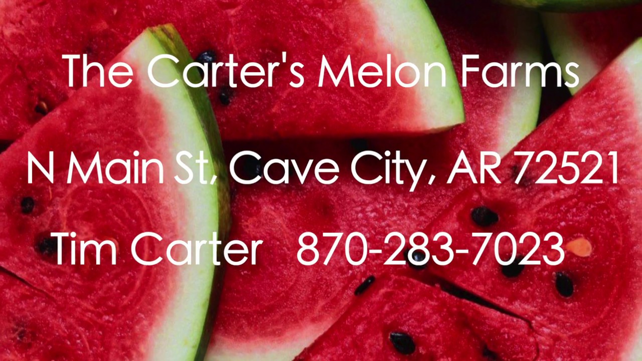 World's Sweetest Watermelons! Cave City, Arknasas YouTube