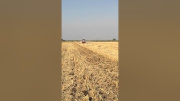 No till Vence Tudo