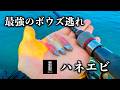 釣れない人、これ使ってください。ハネエビが反則級でした。