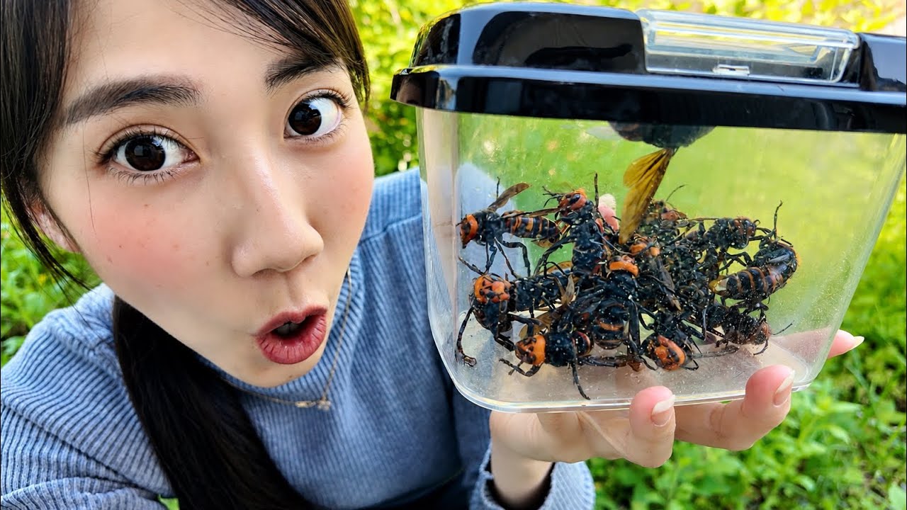 スズメバチ大量生け捕り!!