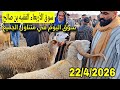 الله الله على سوق الأربعاء الفقيه بن صالح الخروف والحولي والحولية عيد الأضحى تاريخ 22 4 2026