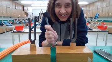 Acoustical Resonance with Tuning Forks Demo