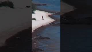 Sargassum Florida Keys 5102023