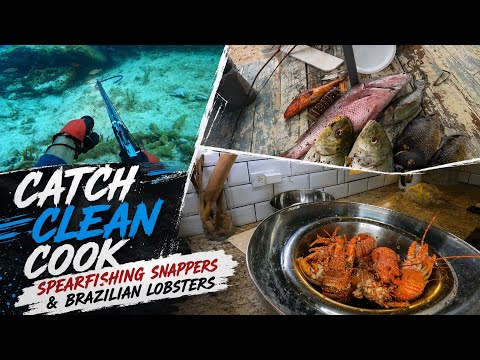 Spearfishing Snappers & Brazilian Lobsters | Catch, Clean & Cook