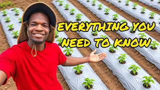 Everything You Need To Know About Pepper Farming