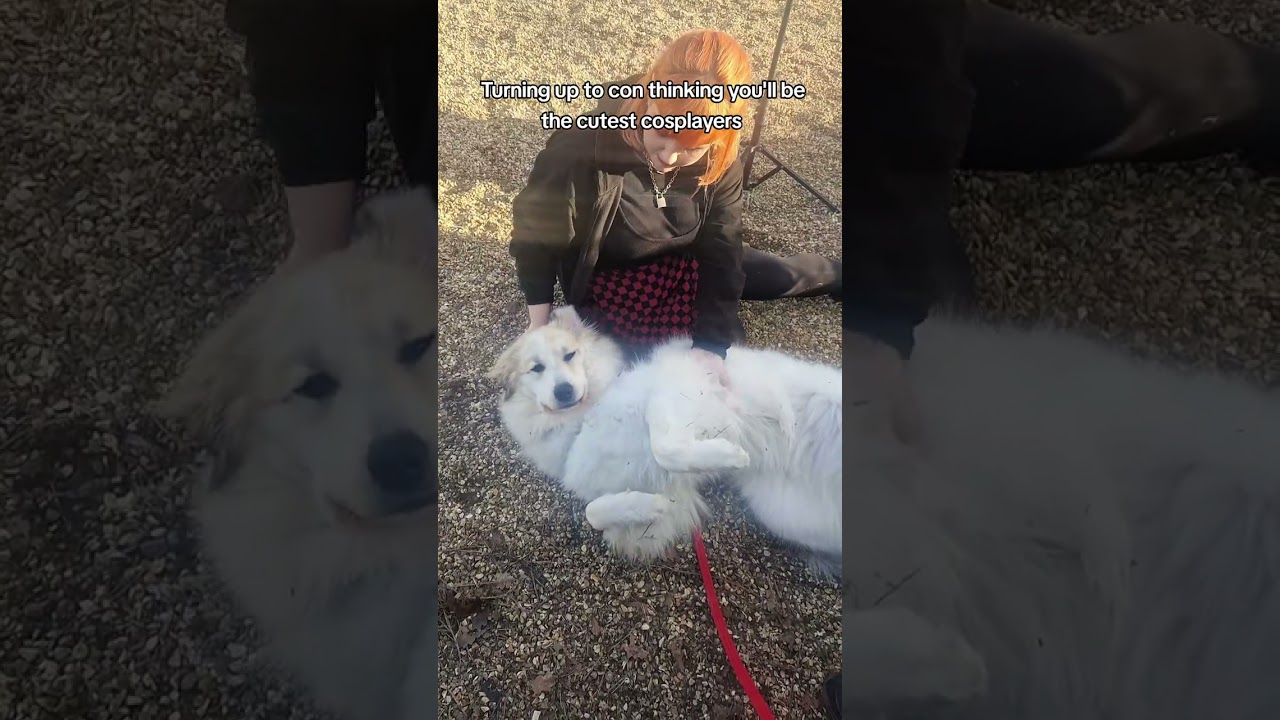 the cutest cosplayer at the convention - Insomnia 72 - the legend of zelda cosplay - baldur's gate