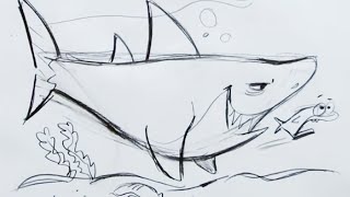 draw shark cartoon step drawing drawings hart christopher paintingvalley