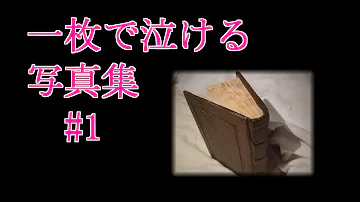 泣ける 画像 集 泣ける 画像 集