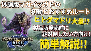 【モンスターハンターライズ】発売前に体験版マガイマガド討伐したい方向け！初動とおすすめルートご紹介