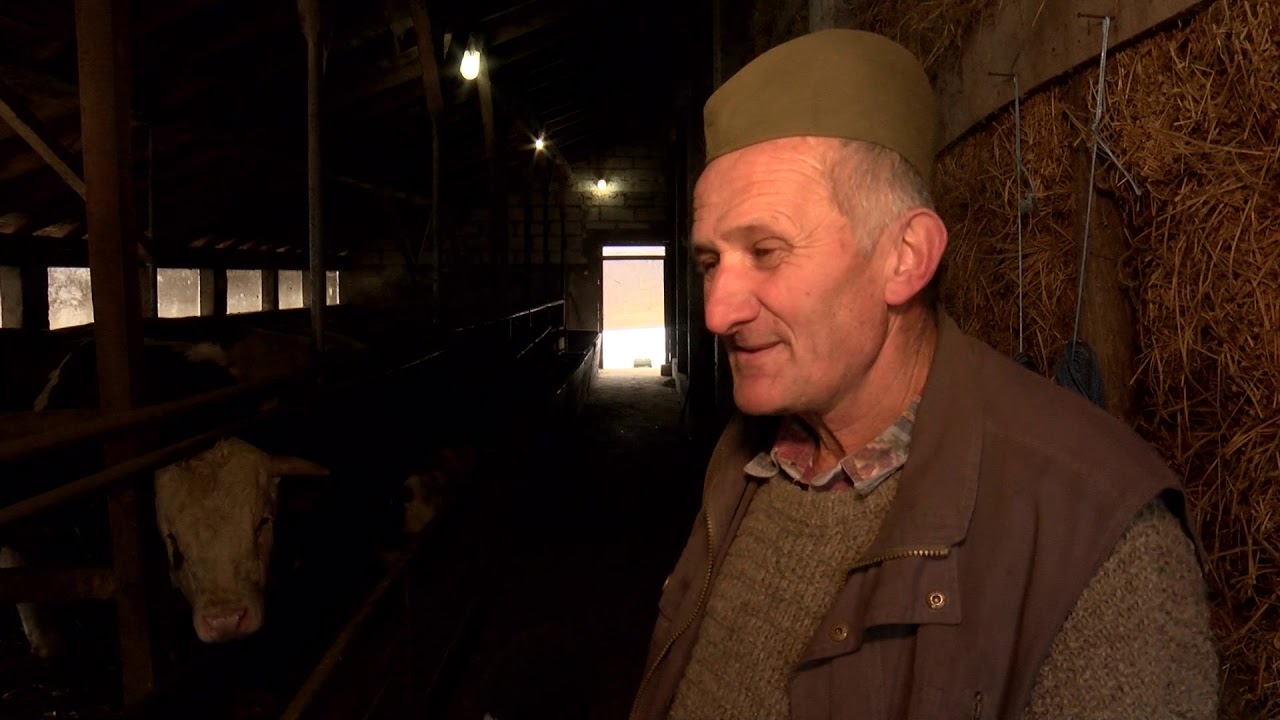 Šumadijski prag: Čestin