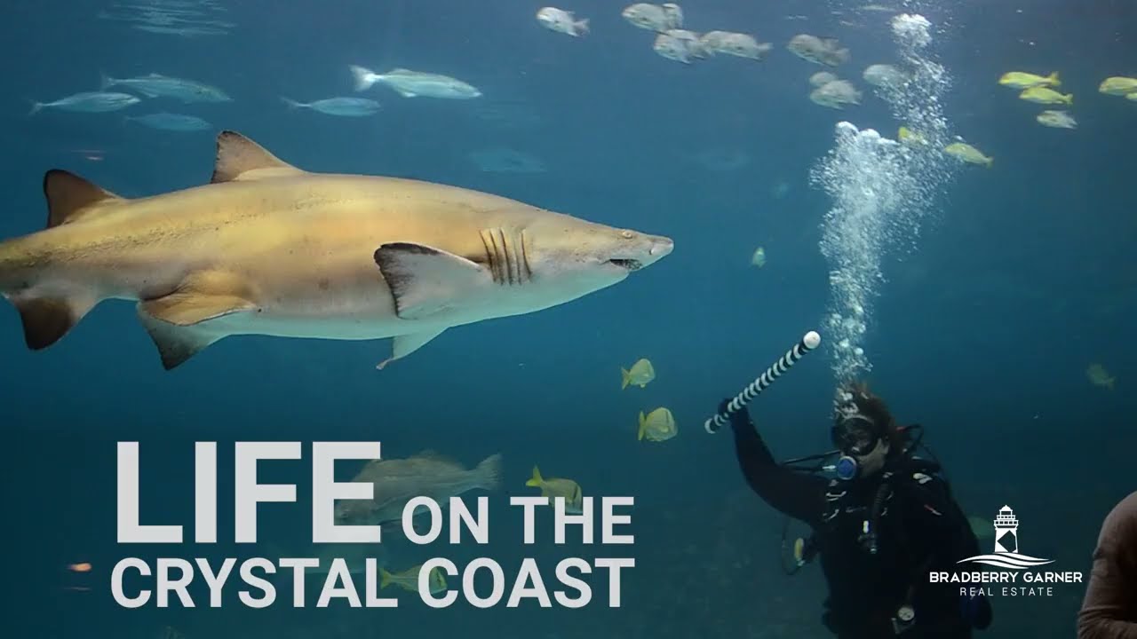 Bradberry Garner Quick Commercial