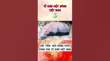 Nơi sinh sống cuối cùng của tê giác một sừng Việt Nam.
