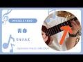 初心者 参考動画 ウクレレ ソロ 青春~ウルフルズ~#ukulelecover