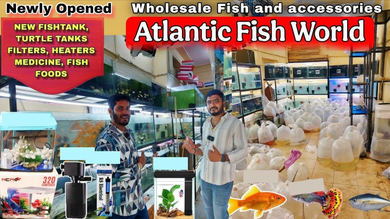 Newly Opened Atlantic Fish World, wholesale fish Aquarium Shop with prices ,Secunderabad