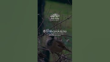 ﴿ الْمَالُ وَالْبَنُونَ زِينَةُ الْحَيَاةِ الدُّنْيَا ۖ  ...﴾ #محمد_أيوب #قرآن #quran #سورة_الكهف
