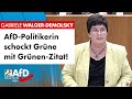 AfD-Politikerin schockt Grüne mit Grünen-Zitat! – Gabriele Walger-Demolsky (AfD)