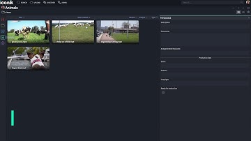 iconik - Collection metadata