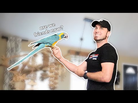 Dave's Turn to Work with Zip | Zip & Zoom Series Ep. 26