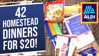 42 Homestead Dinners for $20! Emergency Extreme Budget Grocery Haul