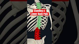 After Standing All Day, Does Squatting Feel Amazing? Here's Why and How To Get Relief #backpain