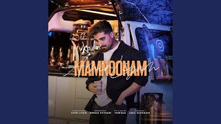Mamnoonam - Amir Liyam